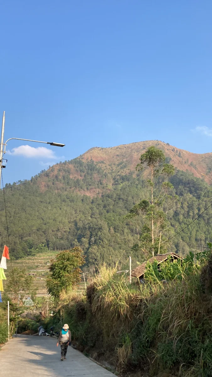 jalur menuju basecamp